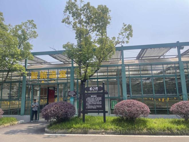 组团”入沪借力五五购物节开拓市场麻将胡了网址安徽六安特色产品将“(图2)
