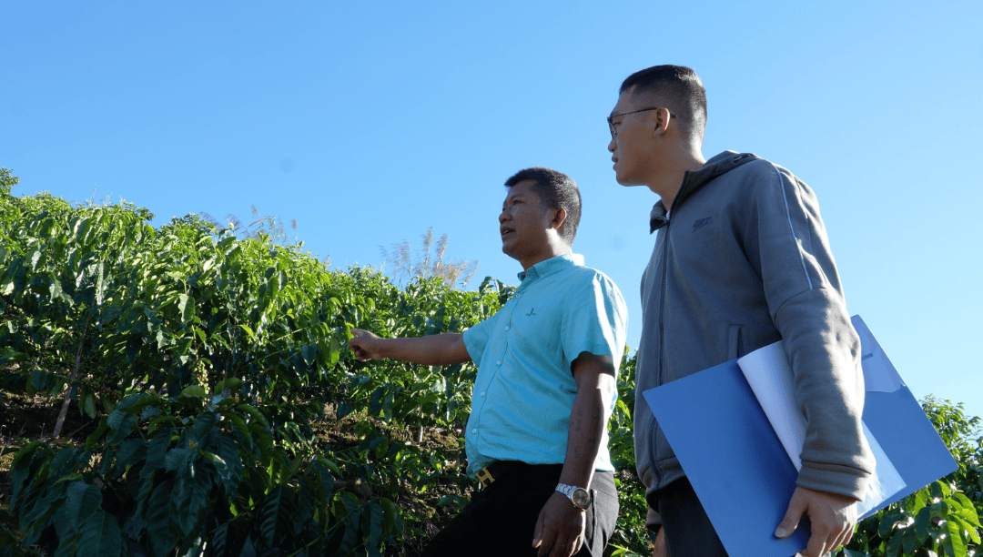 时】一杯咖啡煮出边疆振兴新图景麻将胡了免费试玩【乡村振兴进行(图5)